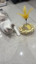 Cat Toys Creative Hole Digging with Tickler Cat Toy Feather Bell Cat Turntable Toy