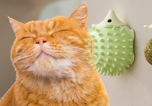 Cat Toy Hedgehog Scratcher Teething Catnip Ball Toy Cat Self-Entertainment Toy