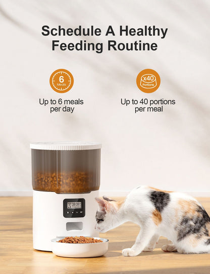 Feeder transparent grain storage bin feeder pet smart feeder