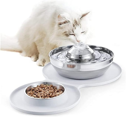 pet Water Dispenser Stainless Steel Water Fountain Dog Bowl 2-in-1 Set 2L/67oz Pet Water Fountain 248ml Food Bowl Feeding Watering Supplies with 3 Filters Mat for Cats Dogs cat Fountain