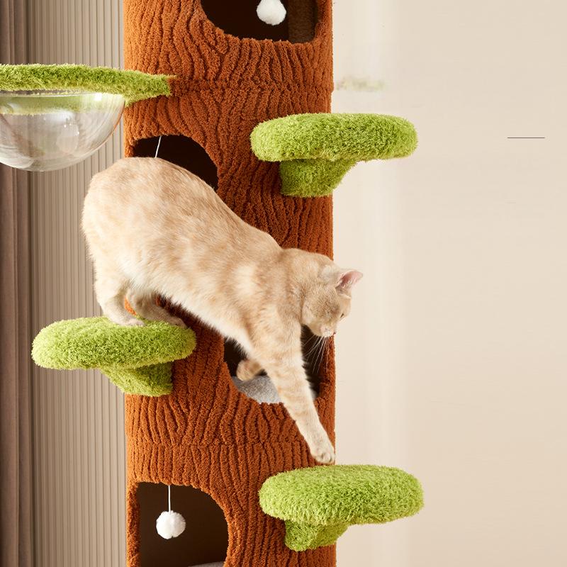 Cat climbing column cat climbing frame cat climbing column multi-layer for big cats