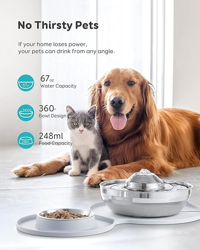 pet Water Dispenser Stainless Steel Water Fountain Dog Bowl 2-in-1 Set 2L/67oz Pet Water Fountain 248ml Food Bowl Feeding Watering Supplies with 3 Filters Mat for Cats Dogs cat Fountain