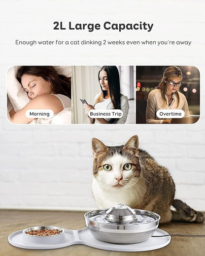 pet Water Dispenser Stainless Steel Water Fountain Dog Bowl 2-in-1 Set 2L/67oz Pet Water Fountain 248ml Food Bowl Feeding Watering Supplies with 3 Filters Mat for Cats Dogs cat Fountain